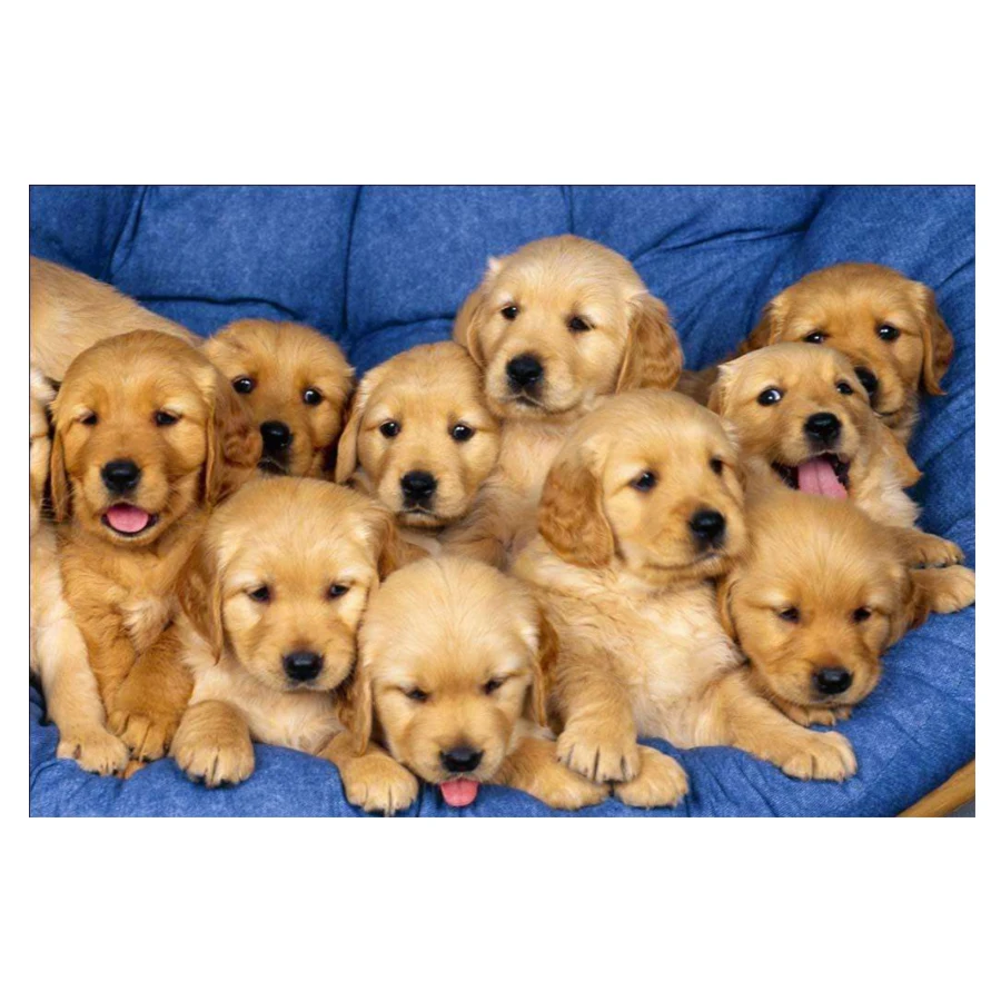 

Cute puppy 5D Diamond Painting Diy diamond mosaic Home Decor the Full Square Diamond Painting Rhinestones Handicraft