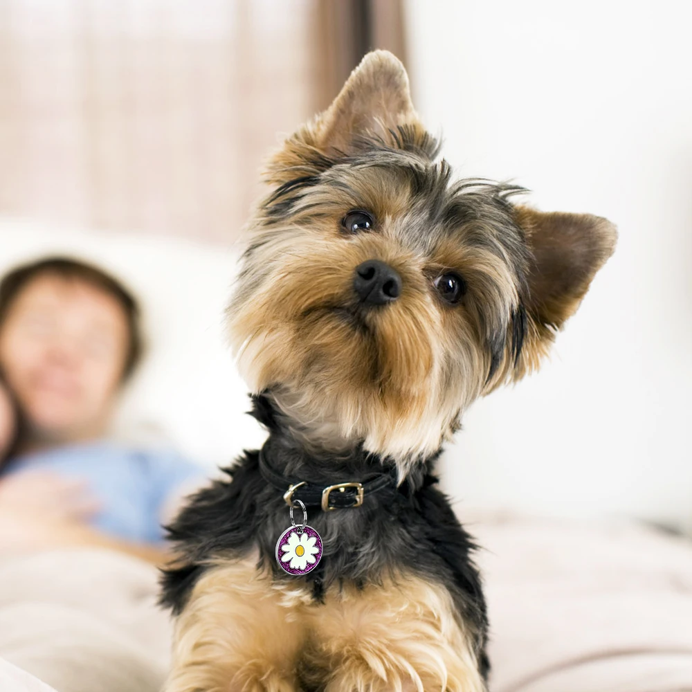 Милая собачья бирка персонализированные круглые собачьи бирки Выгравированная