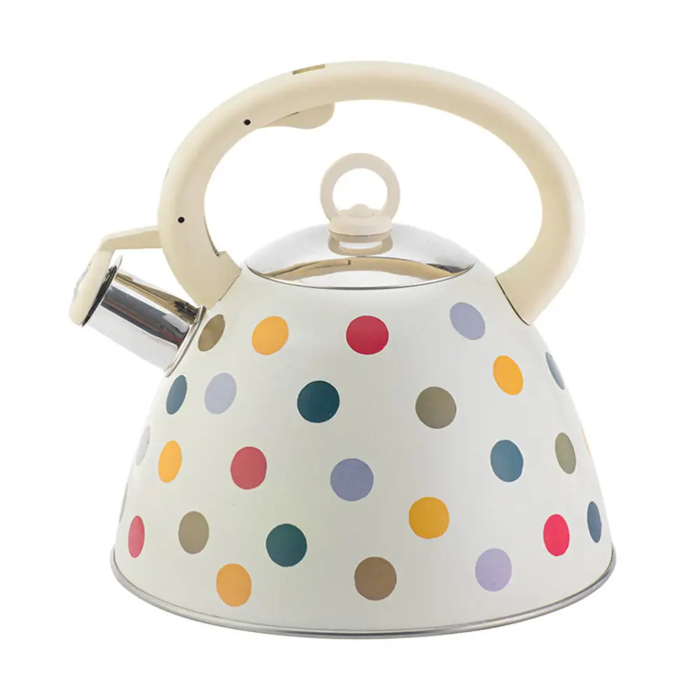 

1Pc Household Teakettle Kitchen Kettle Hotel Teapot Water Boil Kettle for Home