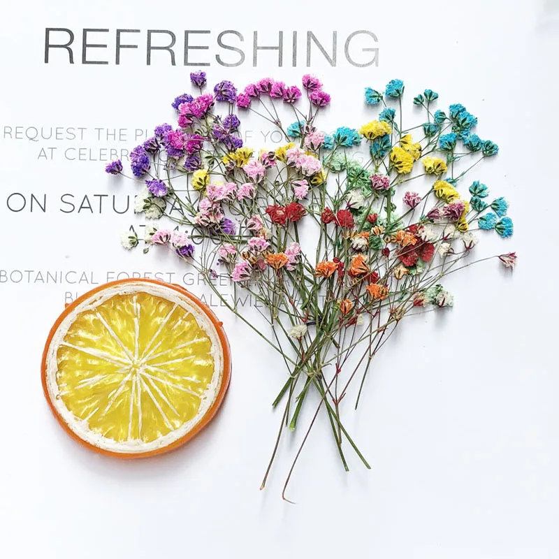 Сушеные прессованные впитываемые цветы Гипсофилы гербарий из растений 5-10 см 60