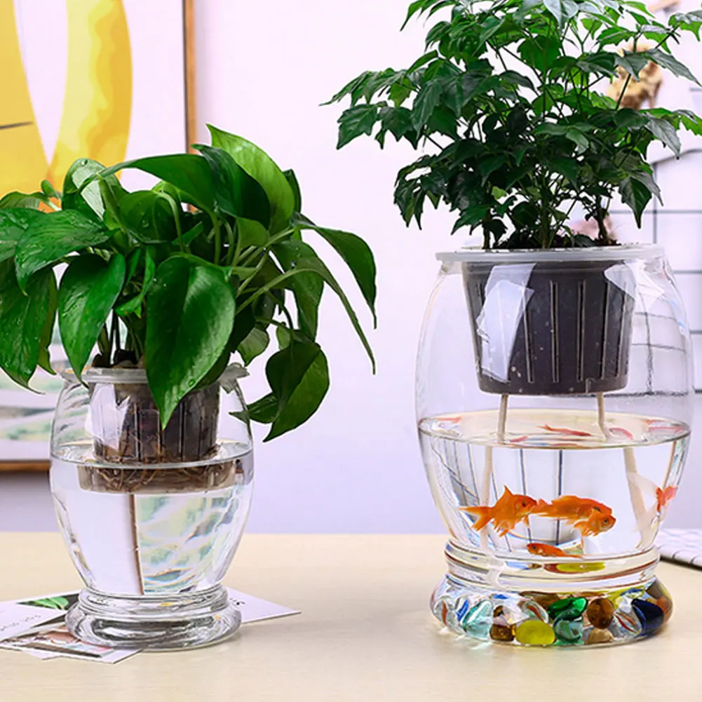 

5PCS Mesh Plant Pot Grow Cup Net Pots Plastic Container Basket Tankless Nursery for Garden Hydroponic Planting M2/M4/M6/M9