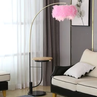 Nordic Creative Feathers Floor Lamp Light Luxury Post-Ins Ventilation Red Teenage Bedroom Floor Lamp USB Wireless charging lamp