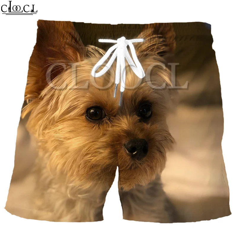 CLOOCL Животные Собака Йоркширский терьер 3D принт модные мужские шорты для отдыха