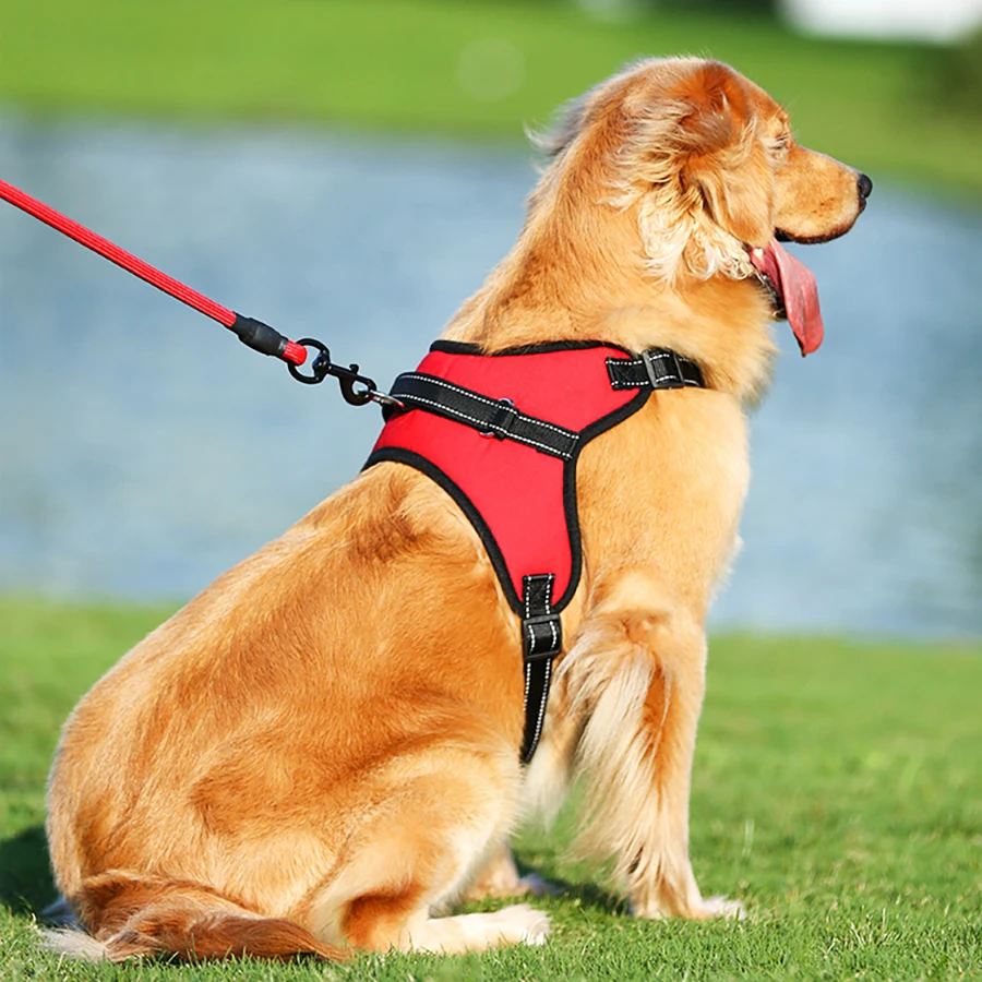 

Adjustable Dog Collar Cats Dog Supplies Dog Harness Vest Chest Strap Small Teddy Golden Retriever Medium Large Dog Thickening
