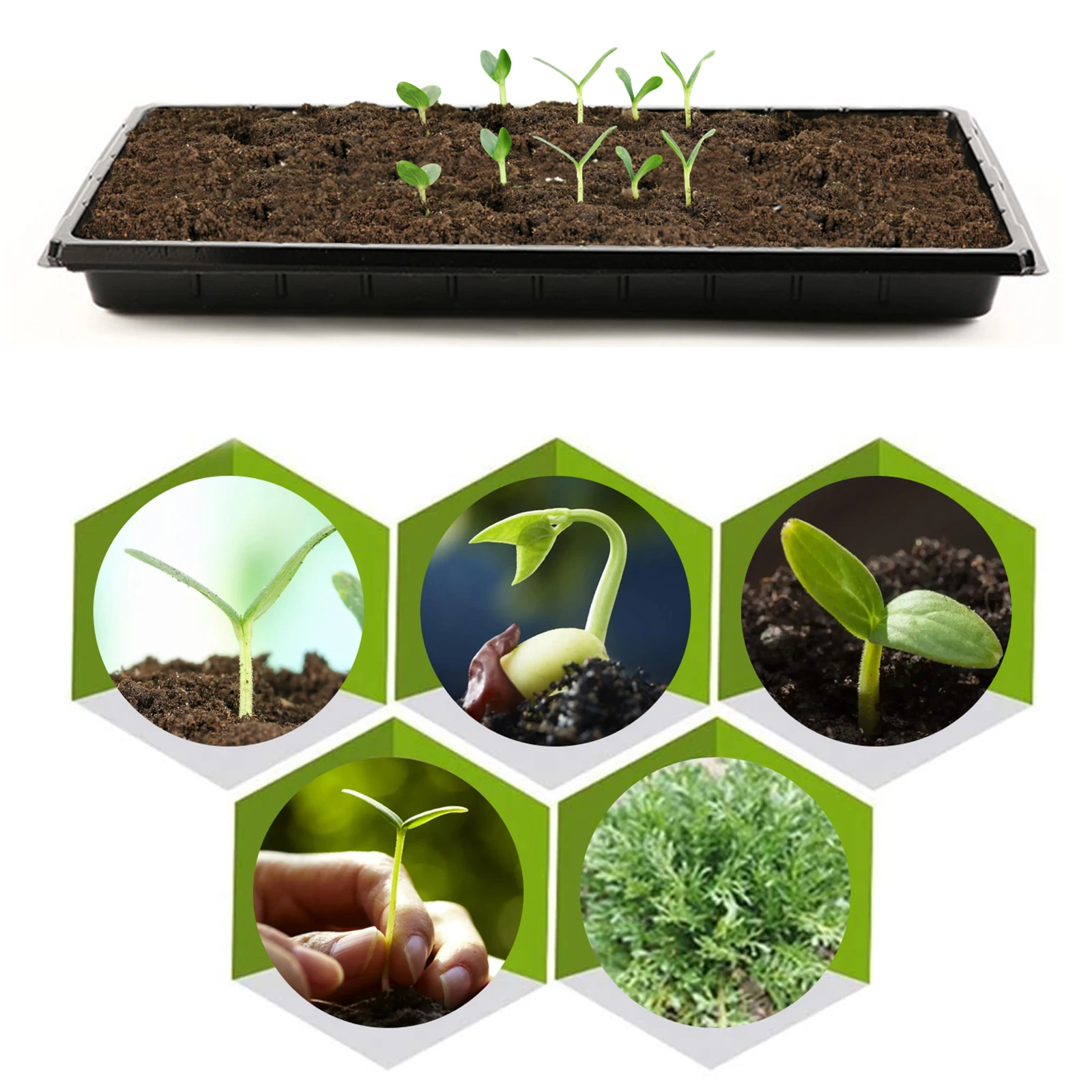 Рассады лоток парника выращивания пластина посадки магазин Sprout Лотки почвы
