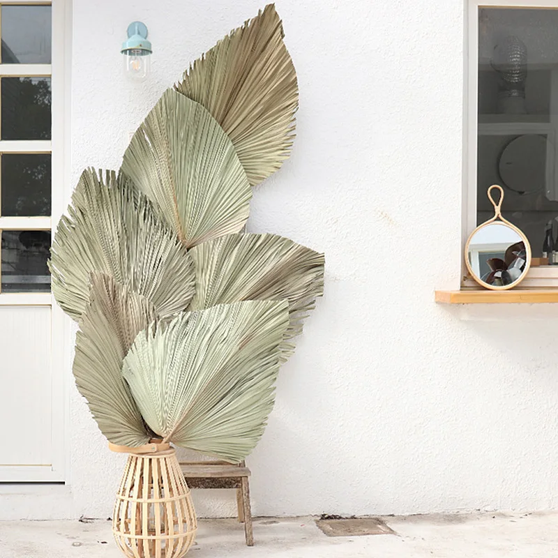 Palm Fan Leaf Dried Flower Window Reception Party Art Wall Hanging Decoration Wedding Arch Arrangement | Дом и сад
