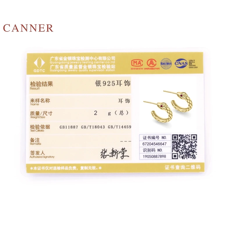 

CANNER Earrings For Women 925 Sterling Silver Pendientes New Zircon Snake New Star Piercing Stud Earrings Fine Jewelry Joyero