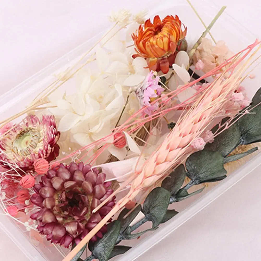 

1pcs Randomly Distributed Diy Nail Art Dried Flowers, Dried Package, Material Products Immortal Holiday Floral Flowers W3X7