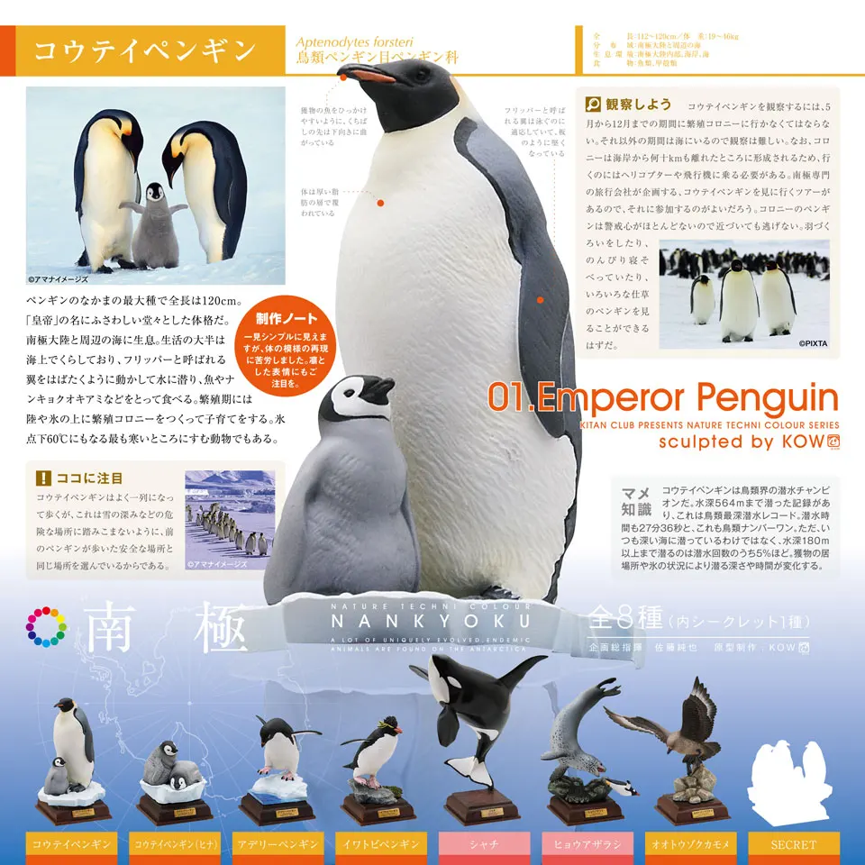 

Japan Kitan Glissade Penguin South Pole Penuins Family Model Bat Dolphins Doll Miniature Capsule Toys Gashapon