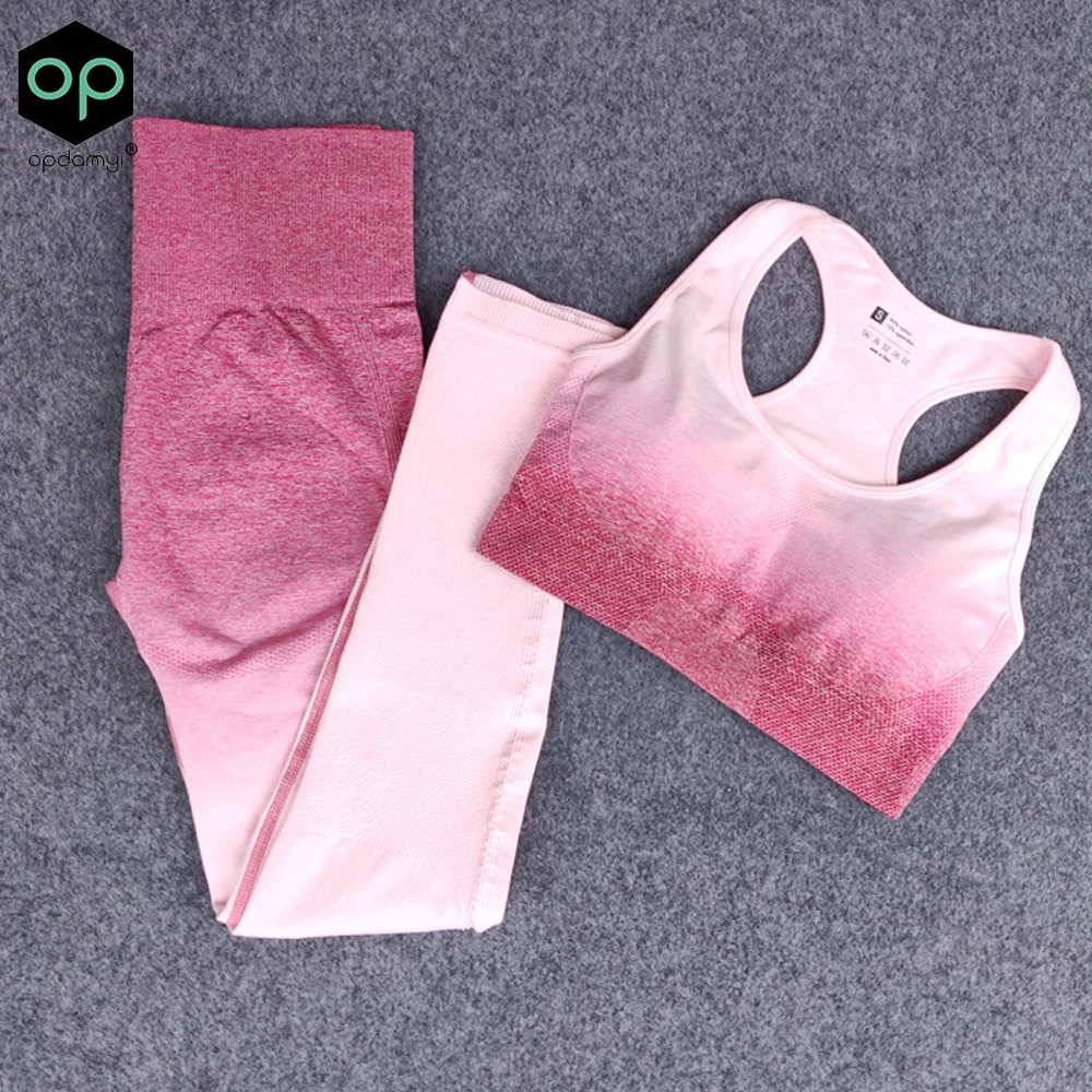Бесшовные комплекты для спортзала и йоги женские из 2 предметов тренировок