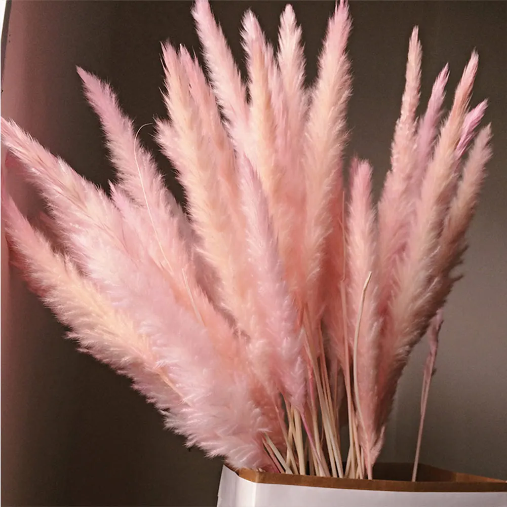 Сушеные маленькие 15 шт Pampas Grass Phragmites Communis украшения для дома отеля свадьбы
