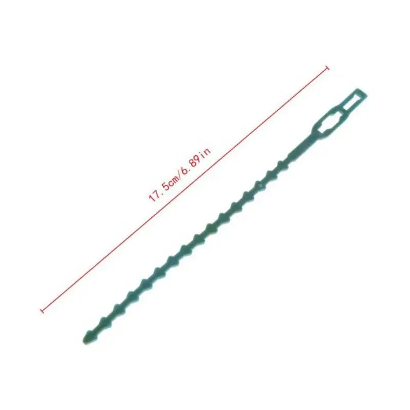 

Green Cable Flexible Tie Tied Tree Vine Climbing Equipment Locking Rot Reusable Gardening Plastic Buckle Proof Tools Self F B8Z7