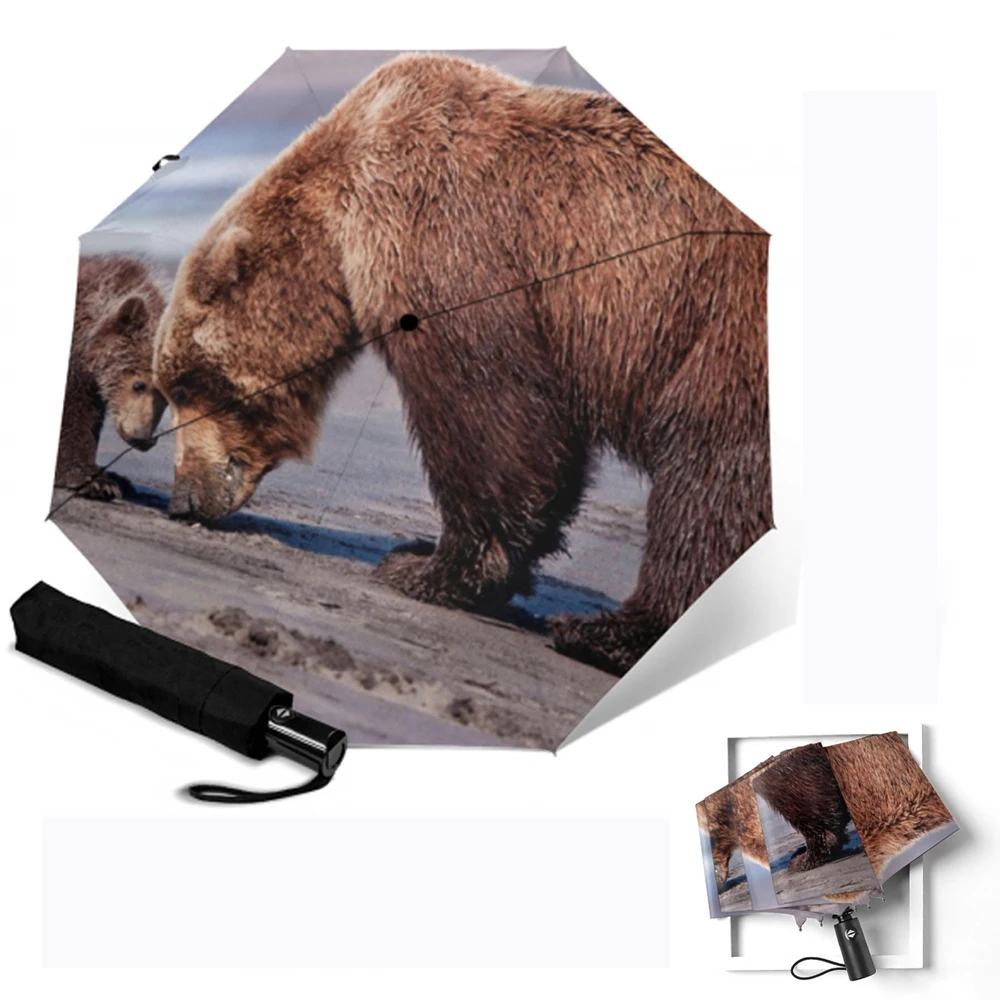 Зонт Автоматический из алюминиевого сплава с принтом медведя 8 ребер | Дом и сад