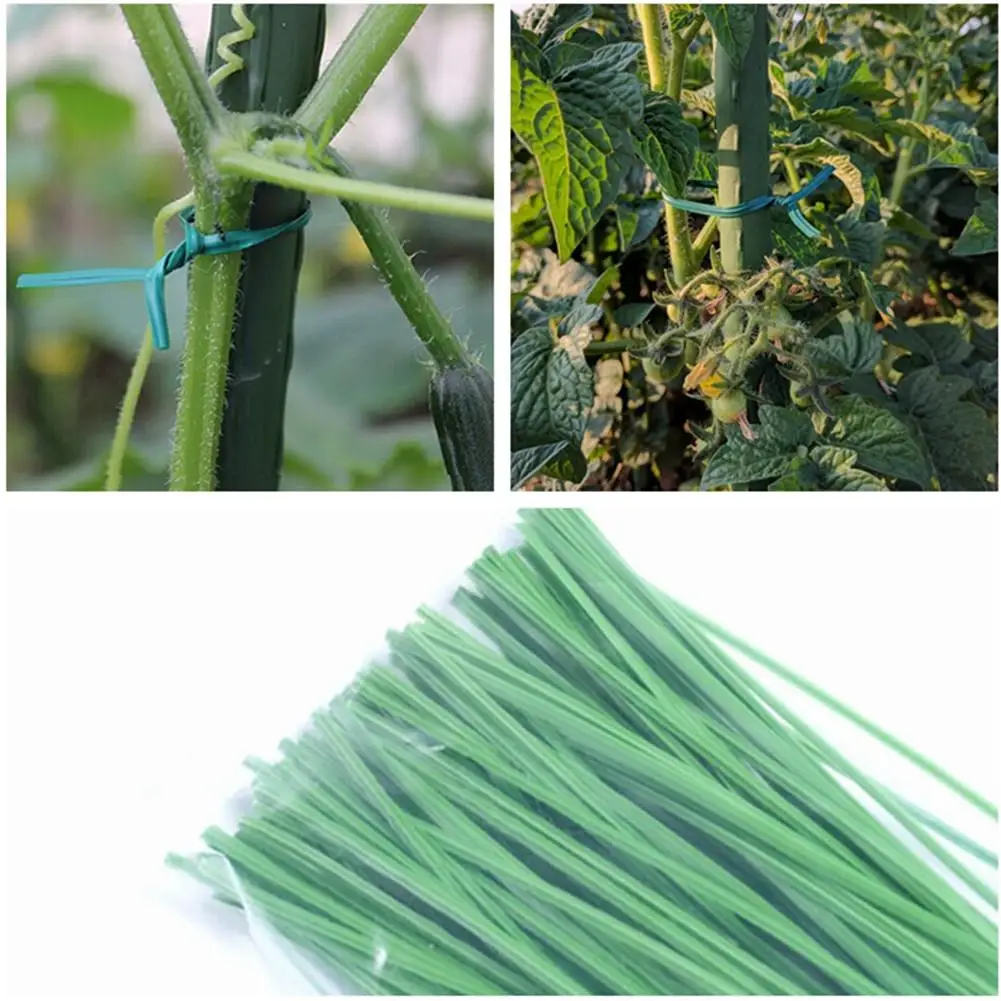 200 шт. пластиковые зеленые виноградные Ротанговые садовые растения