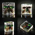 Фигурка насекомого модель игрушки креативный образец смолы образец пресс-папье Стиль Дети Образование подарок случайная коллекция A9D7
