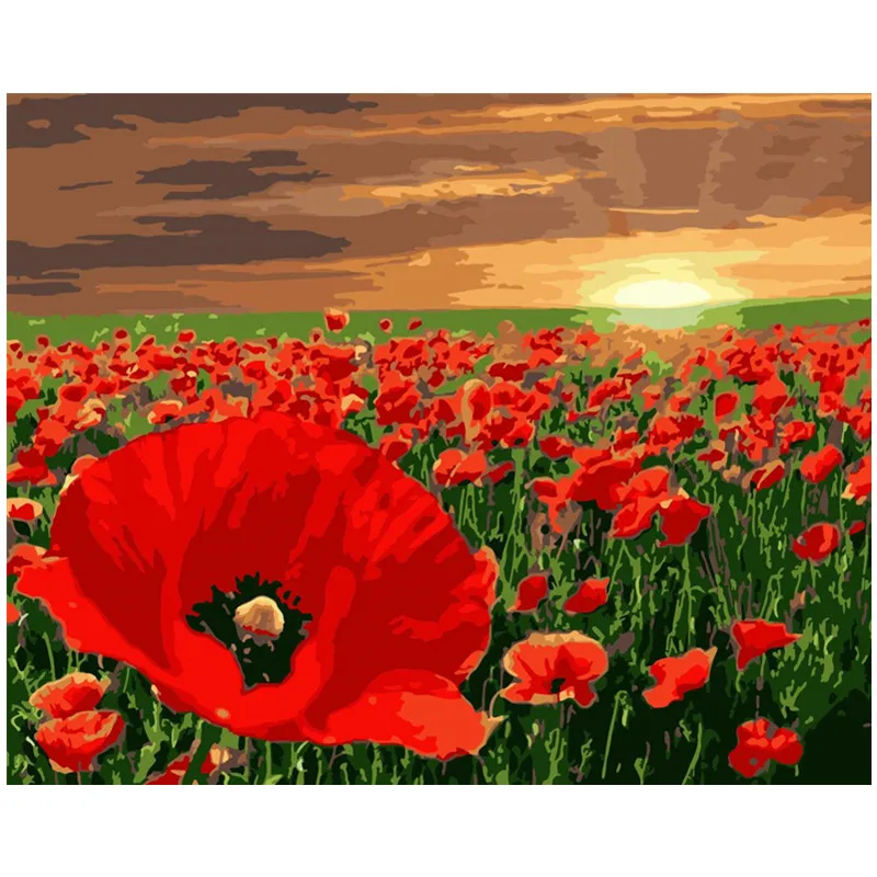 

Painting By Number DIY Dropshipping big size Fresh red poppy under dusk Flower Canvas Room Decoration Art picture Child Gift