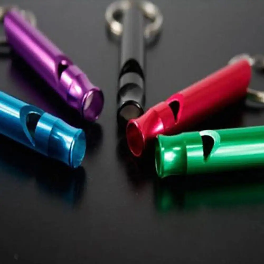 

50% Hot Sale 2 Pcs Mini Alloy Survival Whistle Emergency Keychain Camping Compass Kit Fire Hiking Outdoor Sport Keyring Color
