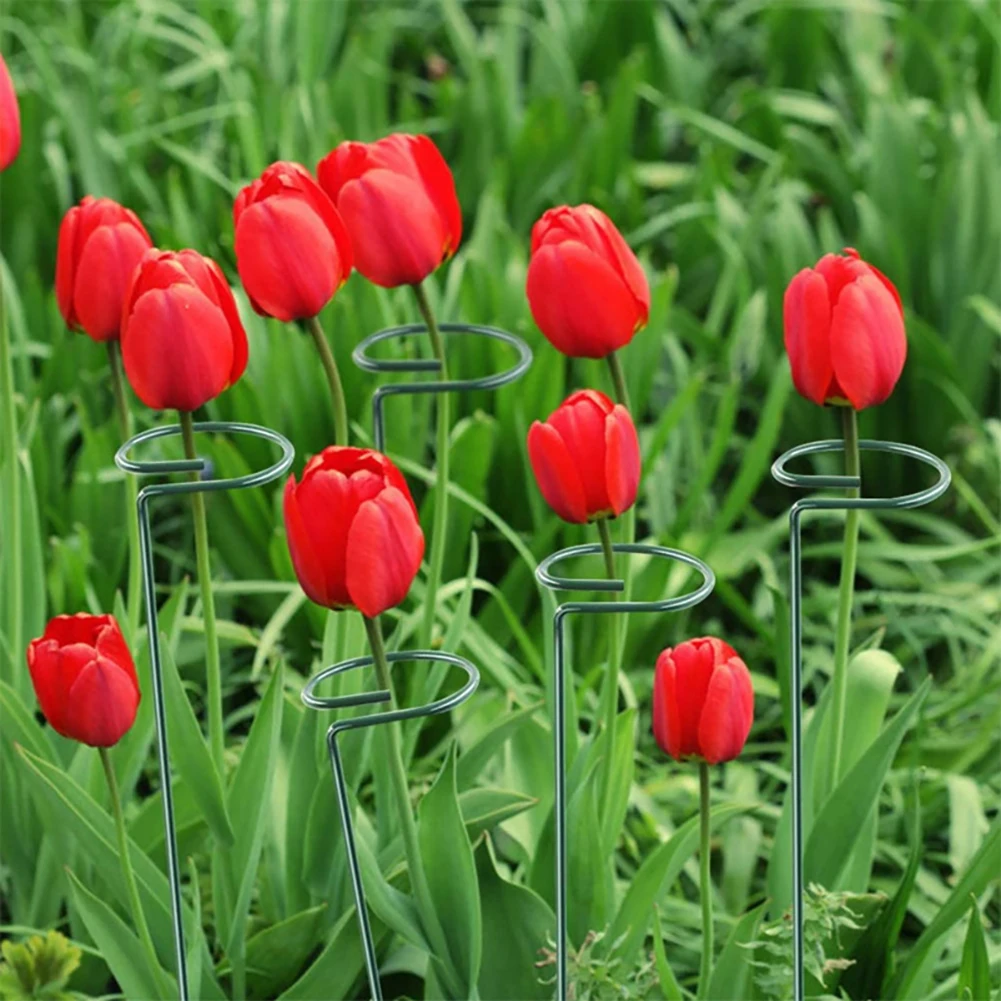 

5PCS/10PCS Garden Support Stake Gardening Garden Single Stem Support Stake Plant Cage Support Rings (40cm / 15.8 inch)