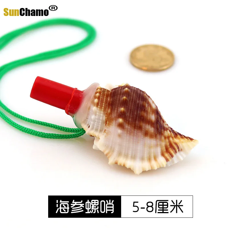 Натуральный свисток в форме раковины Small Horn оболочки характеристика самодельных