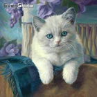 Алмазная живопись в виде кота Evershine, Набор для вышивки крестиком, Алмазная мозаика с животными, полноразмерная вышивка, украшение для дома