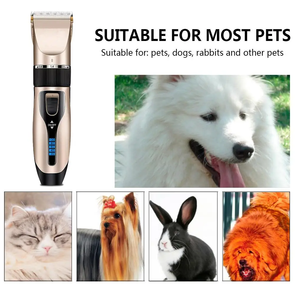 

Pet Products