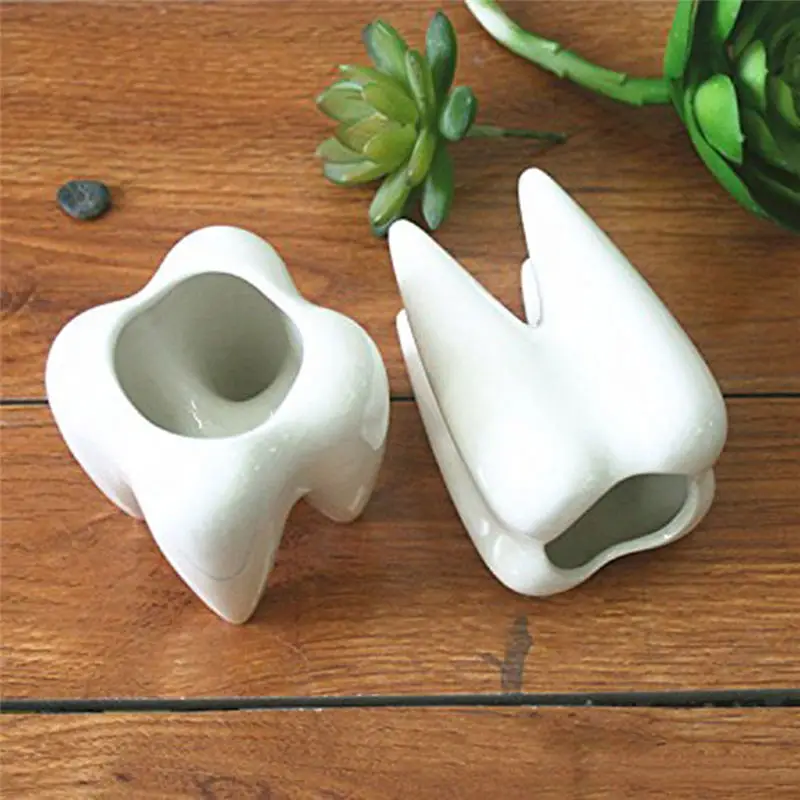 Керамическая форма зуба белый цветочный горшок горшечные горшки для цветов