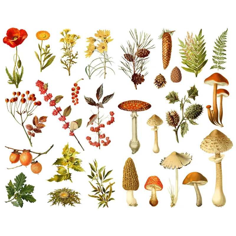 1 шт. милый осенний лес завод гриб нарезанные канцелярские принадлежности альбом