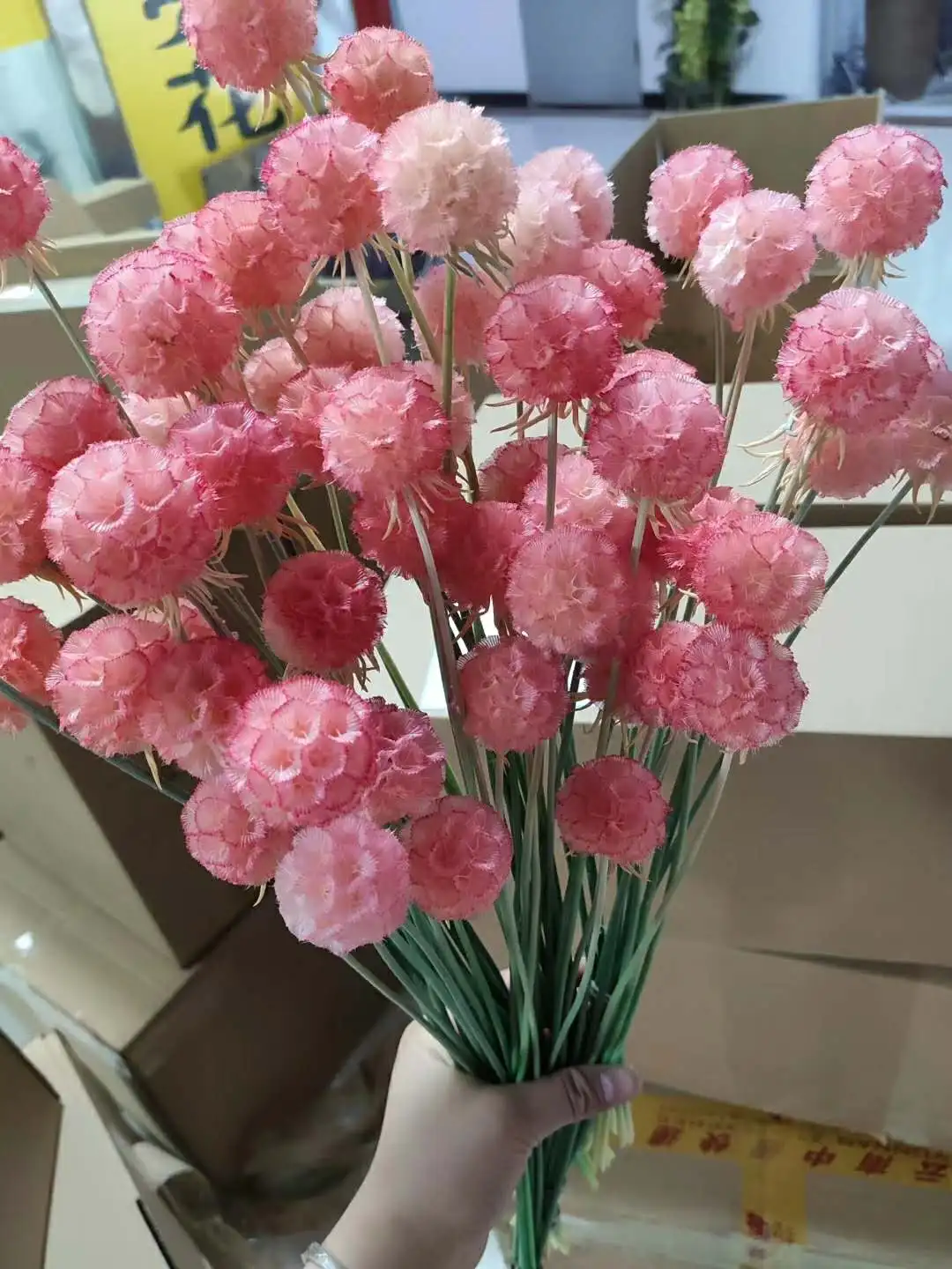 10 шт. конус сосны ветряная мельница для фруктов сохраненные цветы Рождественское