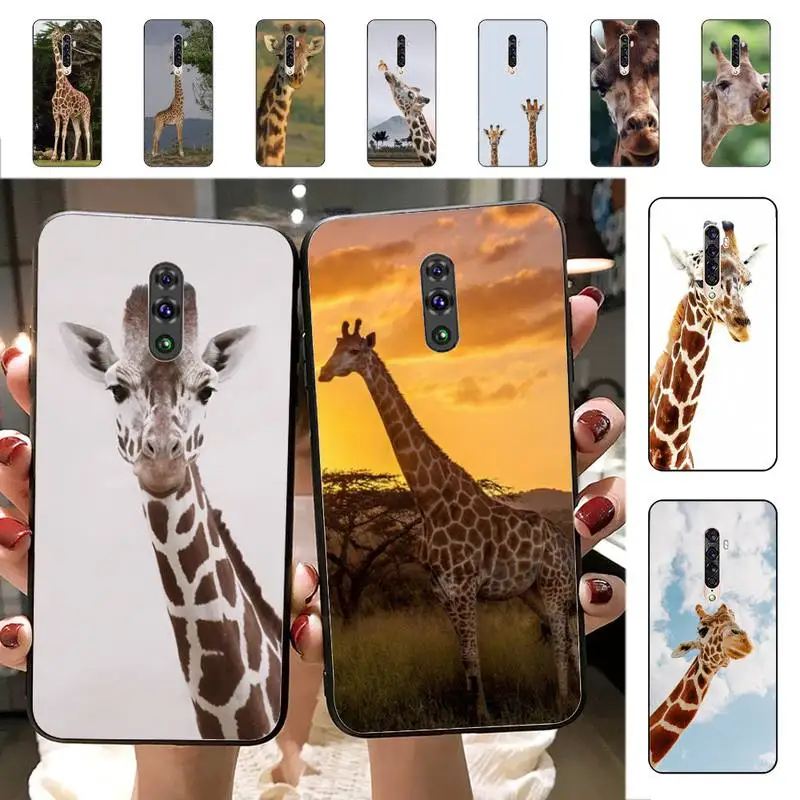 

YNDFCNB Animal Giraffe Anime Phone Case for vivo Y91C Y11 17 19 53 81 31 91 for Oppo a9 2020