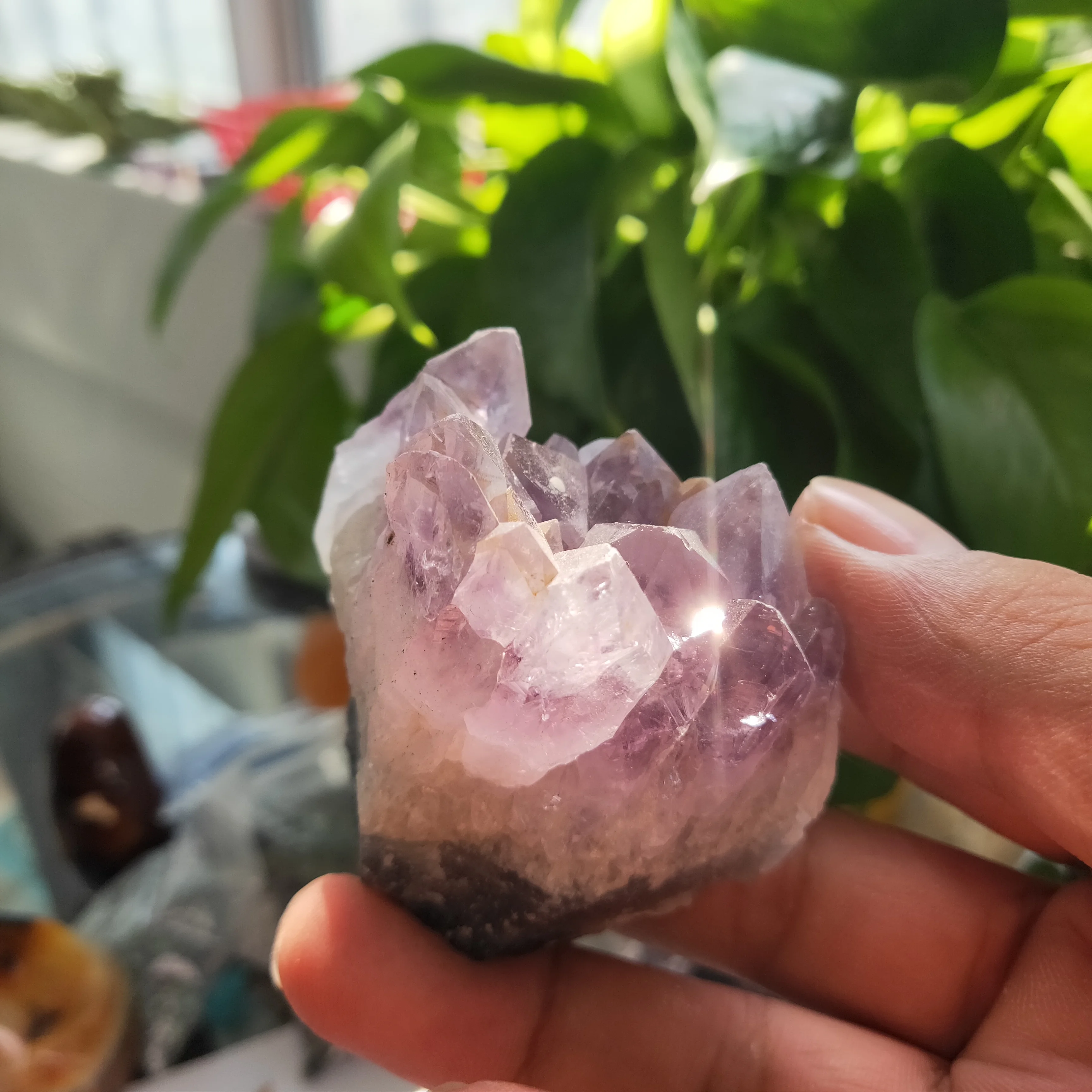 

150gNatural Dream Amethyst Quartz Crystal Cluster Specimen Healing