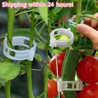 50100 шт многоразовые 23 мм пластиковые зажимы для растений подвесные лозы садовые теплицы овощи томаты зажимы