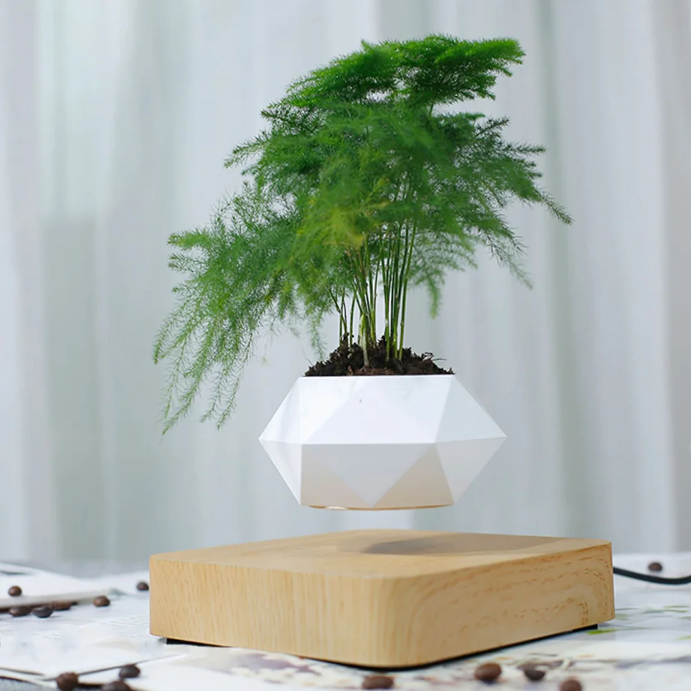 Suspended Air Bonsai Potted Plants Magnetic Levitation Flower Floating Basin Desktop Decoration Novelty Lighting Led Lights New