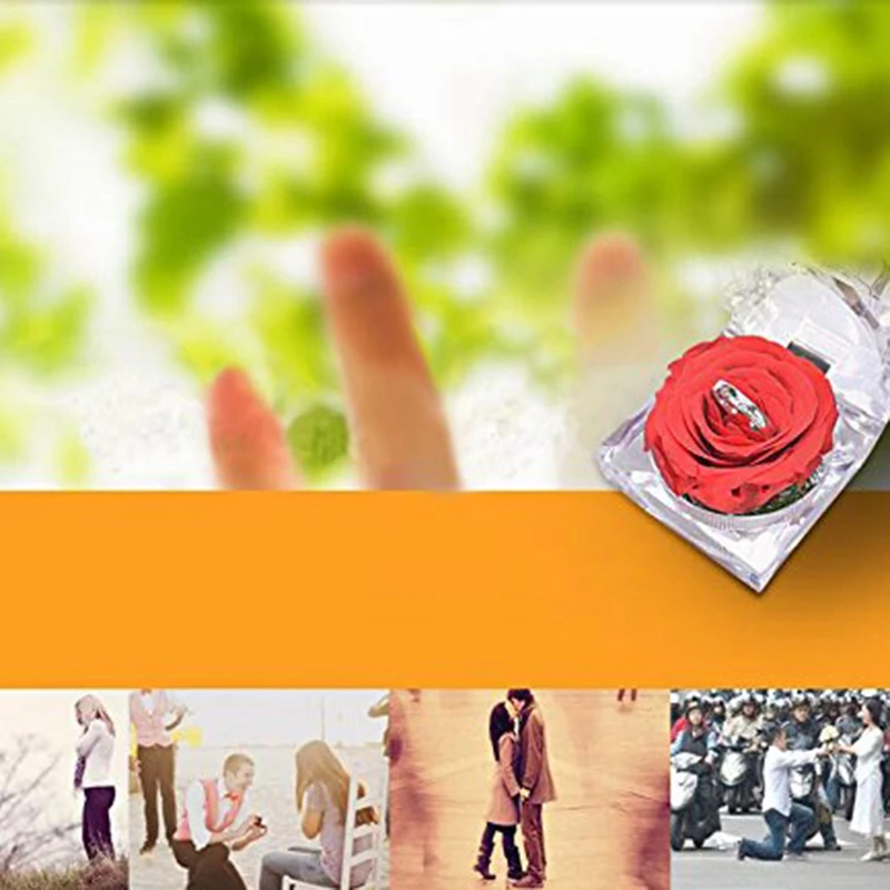 Ручная работа консервированная роза с акриловой Хрустальная коробочка для