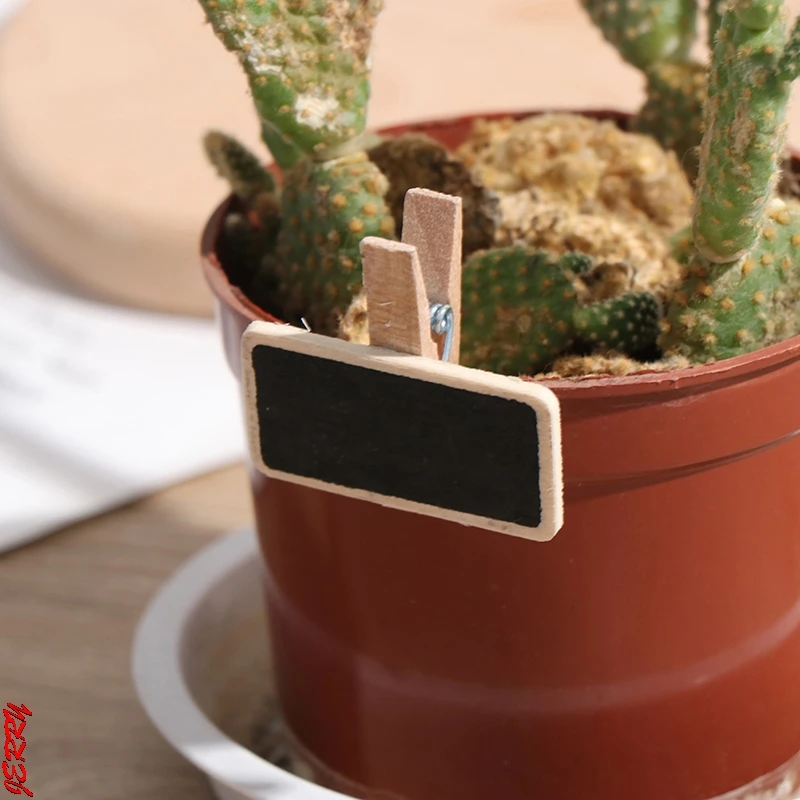 10/50 шт. деревянная мини-доска для сообщений |