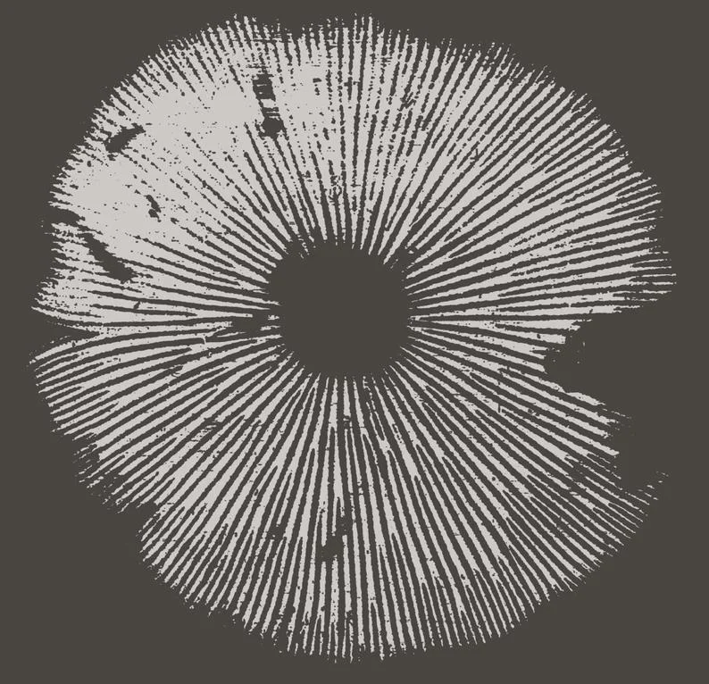 

Gothic Mushroom Shirt- Mycology Shirt - Psilocybe Spore Print Mushroom T Shirt Oversized T Shirt