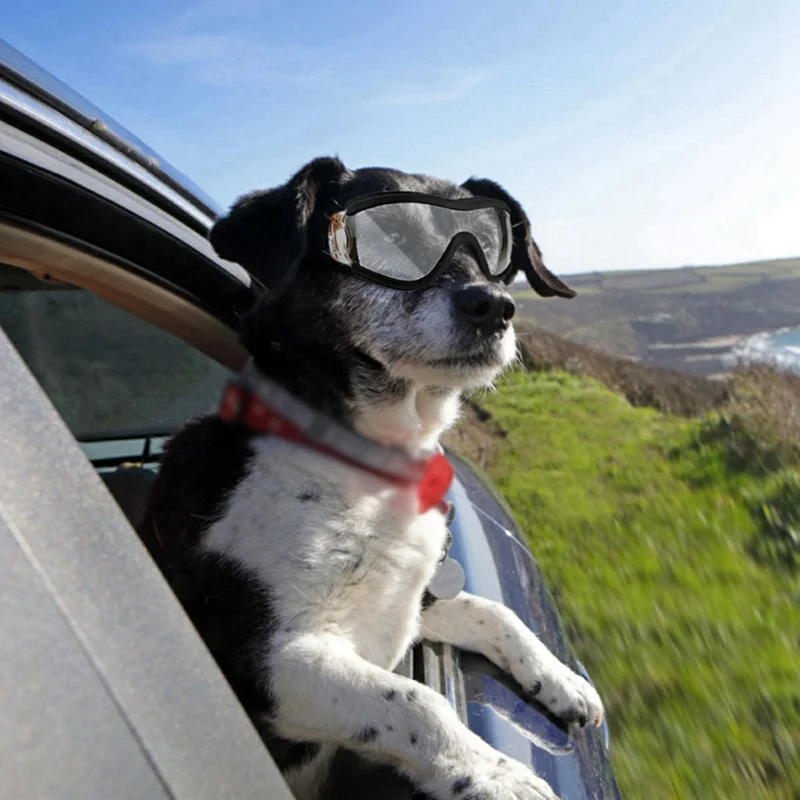 

Pet Fashion Glasses For Resistant To UV Waterproof Training Hunting Camping Pet Dogs Cats Transparent Plastic Glasses Pet Access