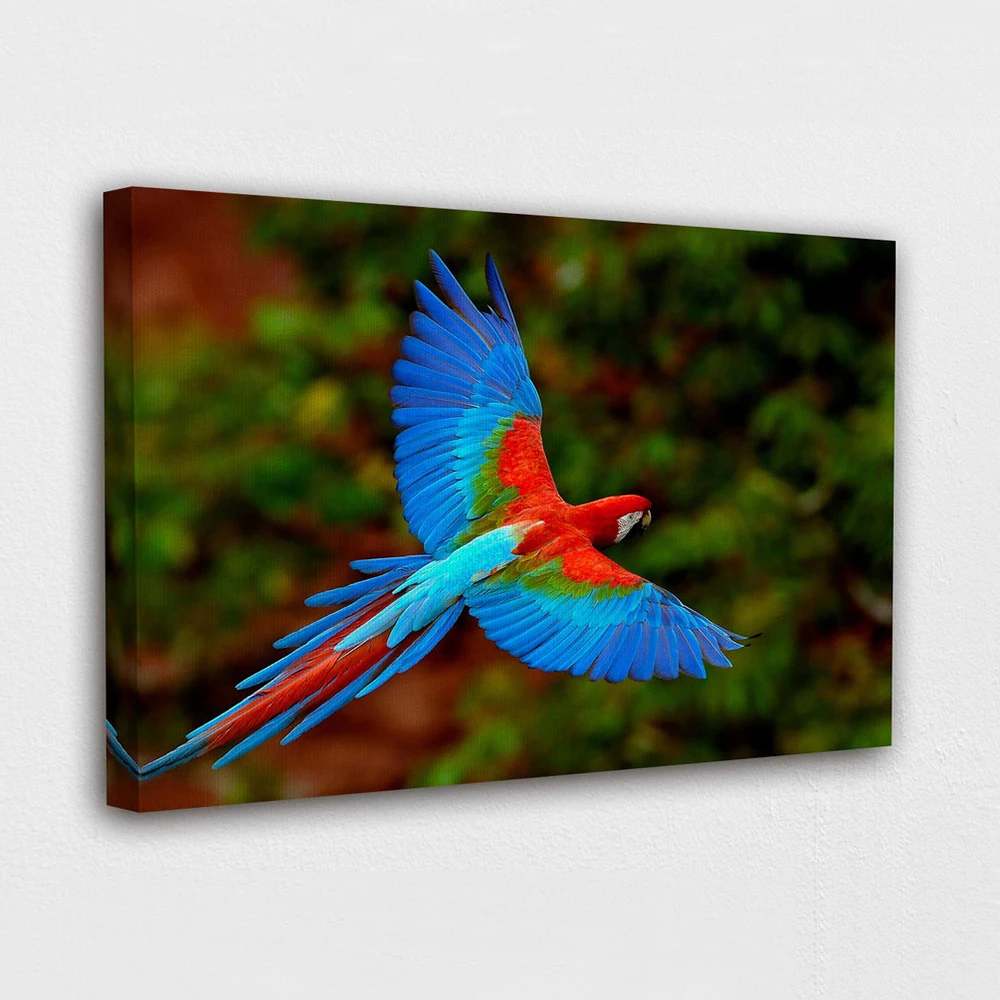 

HD Prints Macaws Long Tailed Parrots Poster Wall Art Bird Animal Canvas Painting Home Decor Living Room Modular Pictures Frame