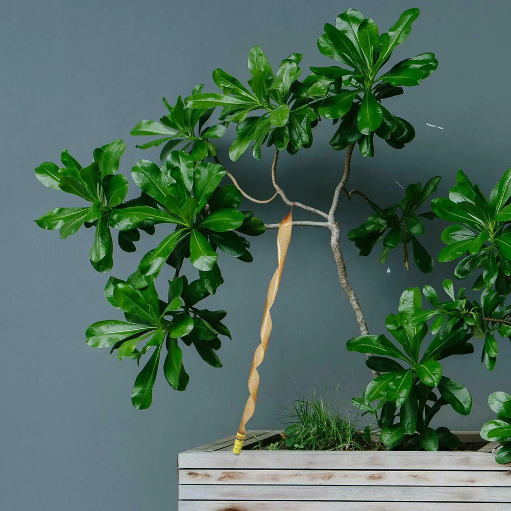 Клейкая лента в виде насекомых и жуков для дома улицы TUE88 | Дом сад