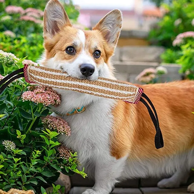 

Pet Dog Toy Dog Bite Stick Training Jouet Chien Juguetes Para Perro Jute Tug Dog Toys for Large Dogs Tooth Cleaning Interactive