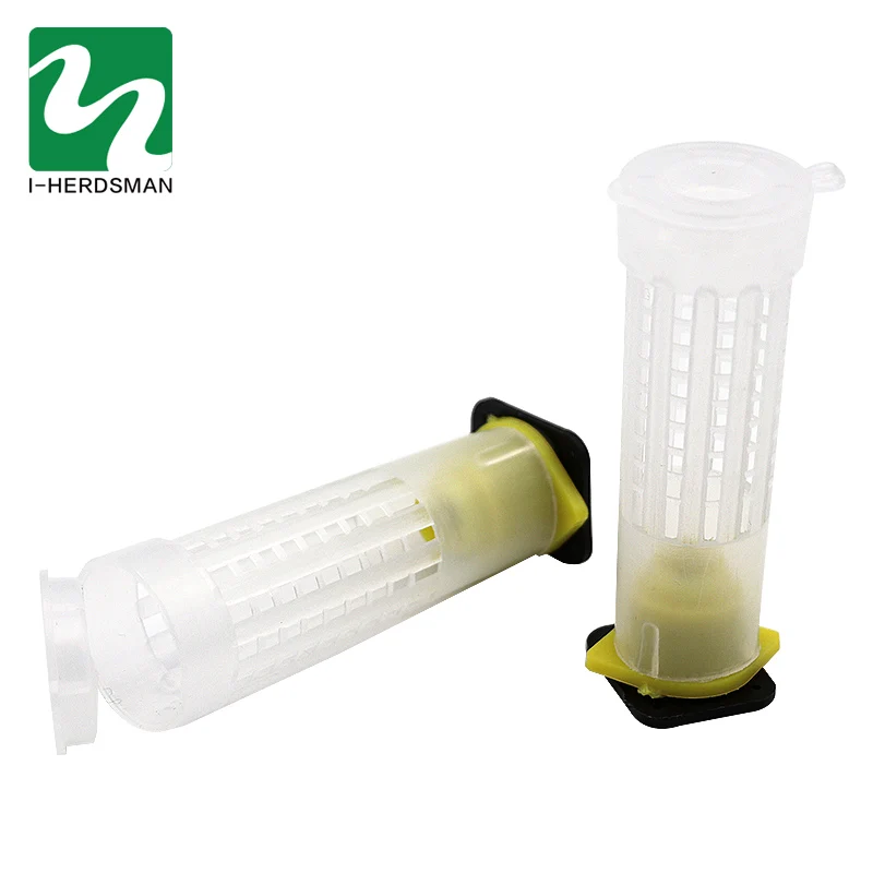 100 шт. Детская клетка для сот|Инструменты пчеловодства| |