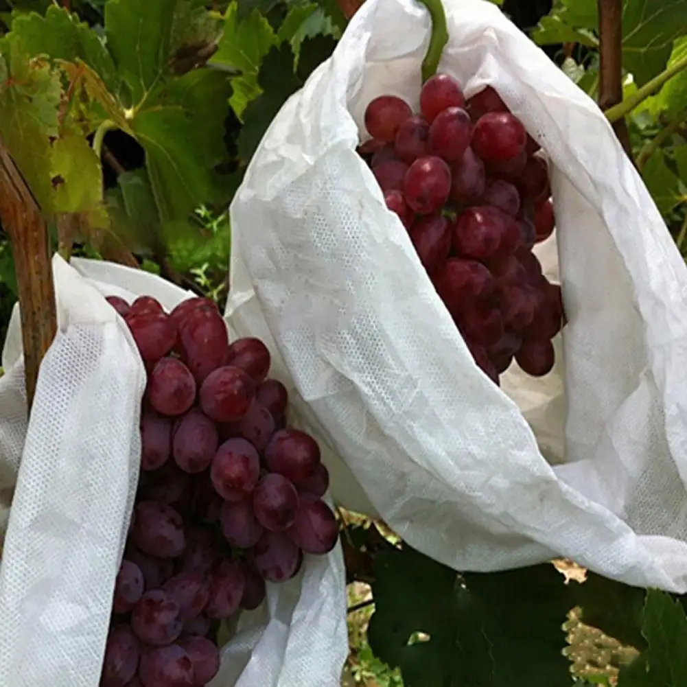 

Sturdy 100Pcs/Set Portable Non Woven Fabric Mesh Bag Reusable Grapes Mesh Bag Widely Applied for Flowers