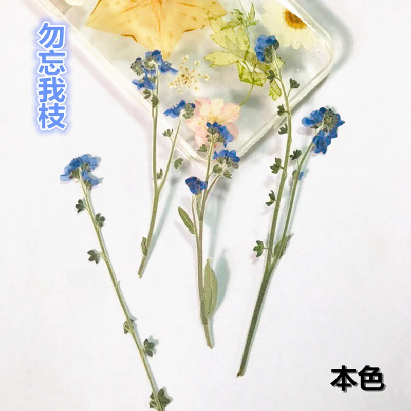 Цветочный материал сделай сам для цветов ручной работы клей сухих Обучающие