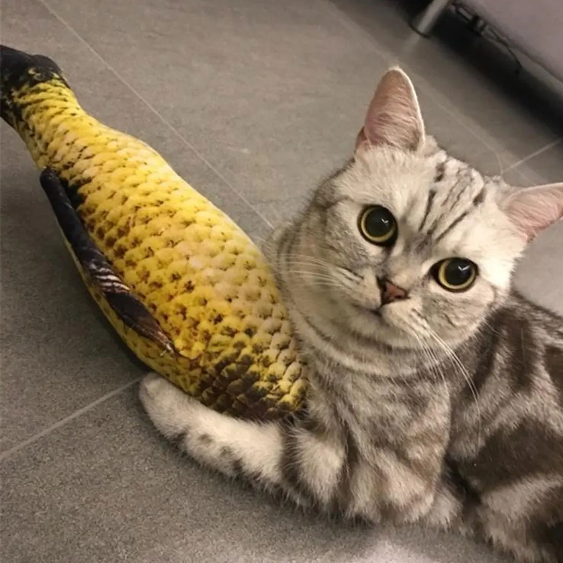 1 шт. творческая кошка котенок жевательные игрушки кошки Котенок Мягкая Игрушка