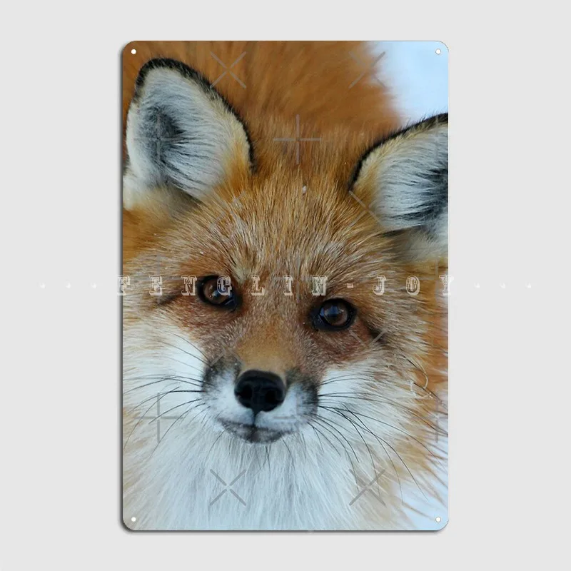 

Things Are Looking Up Poster Metal Plaque Club Home Club Bar Customize Plates Tin Sign Poster