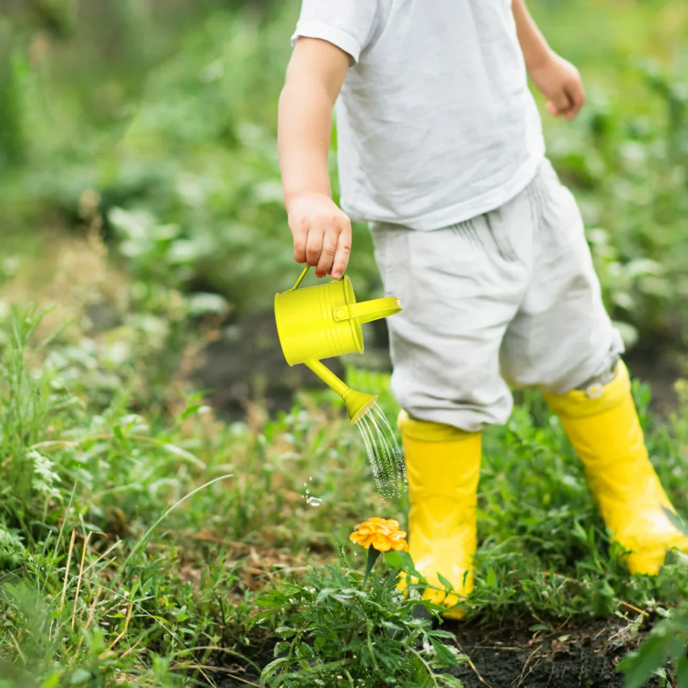 

Yardwe 5pcs Iron Watering Kettles Watering Pots Gardening Watering Cans for Children Home Garden