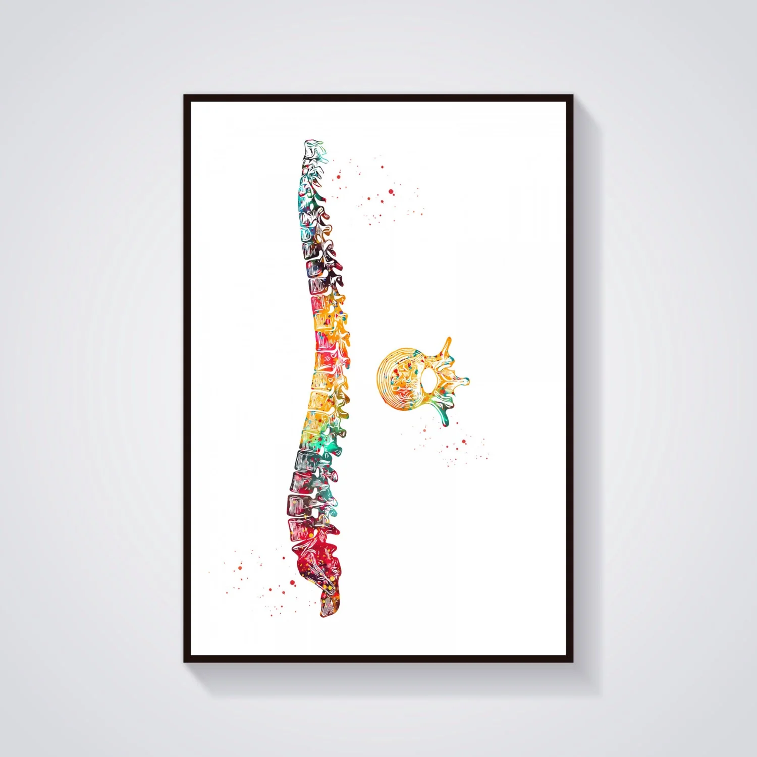 Скелет череп тело позвоночник зубы грудные конструкция анатомия медицинский и