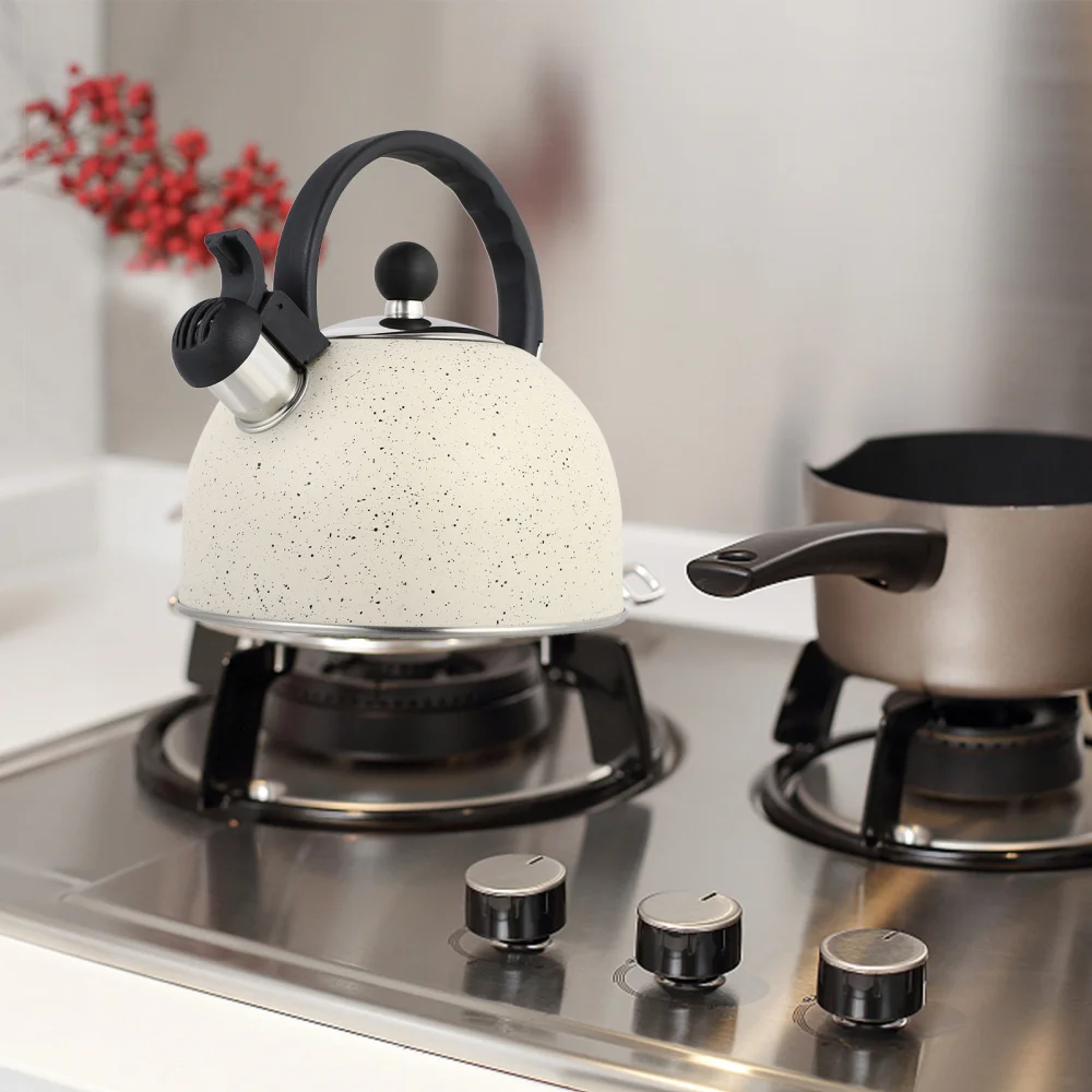 

2.5L Stainless Steel Tea Kettle Durable Whistling Water Kettle Boiling Kettle