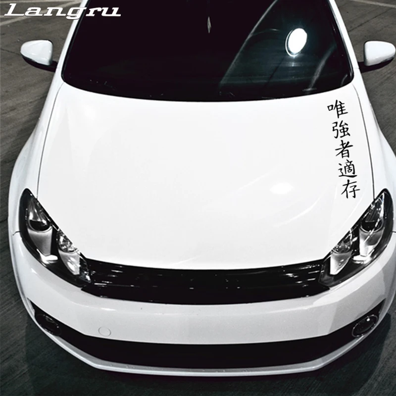 Langru 3 8*20 см персонализированный хироглиф выдерживает сильнейшие автомобильные