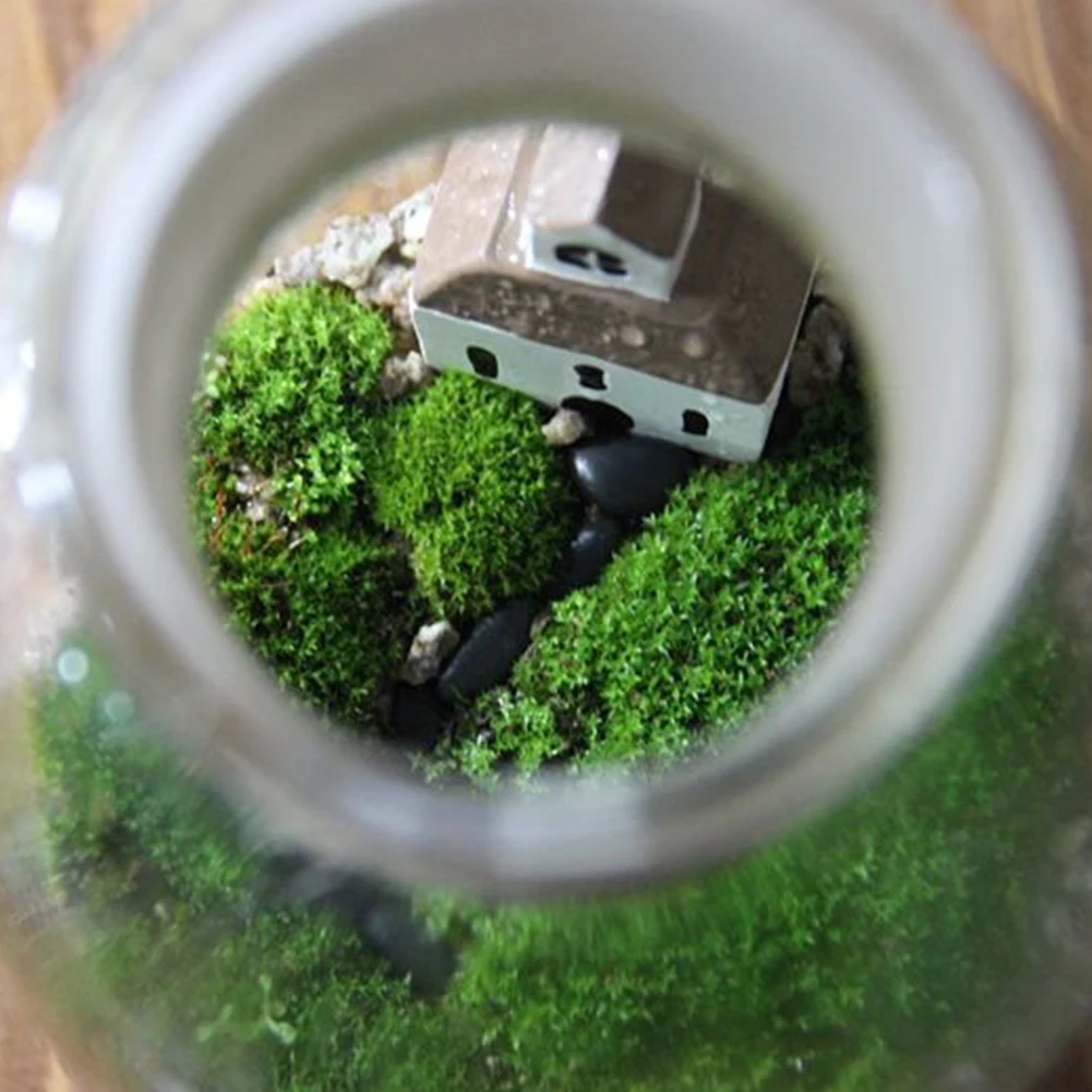 

Plastic Landscape Home Decor Garden Durable Balcony Mini Green Multifunctional Easy Care Artificial Moss