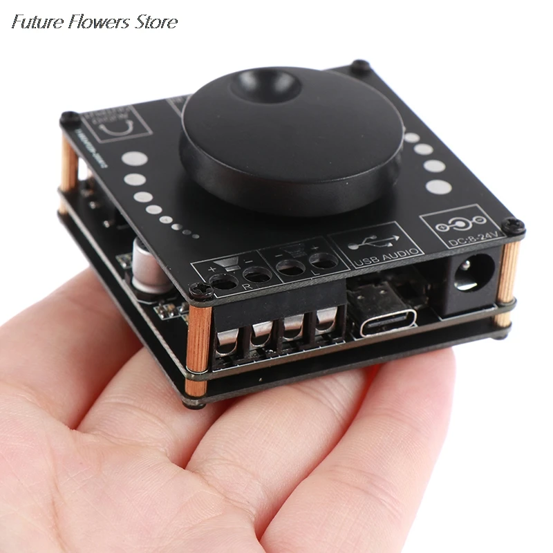 

HIFI 50W+50W TPA3116D2 Stereo Bluetooth Digital Amplifier Board AUX USB-C Input